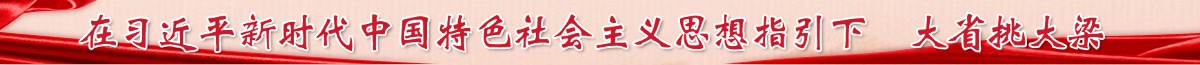 在習(xí)近平新時(shí)代中國(guó)特色社會(huì)主義思想指引下  大省挑大梁