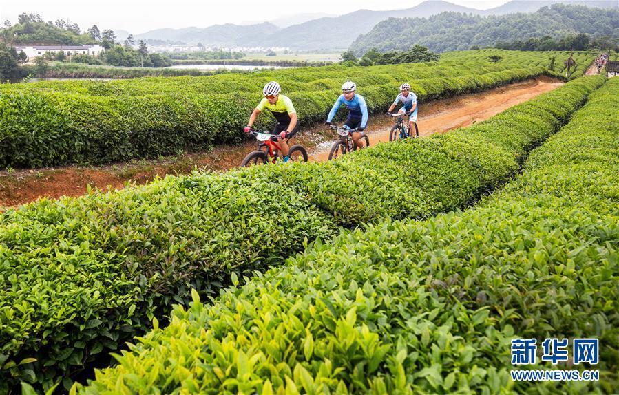 （體育）（4）自行車——珍珠山山地自行車越野挑戰(zhàn)賽在江西婺源舉行